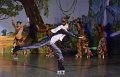 Lionking 0080